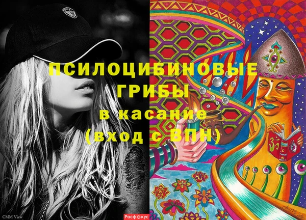 эйфоретик Осташков