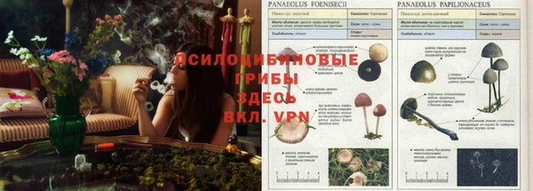 эйфоретик Осташков