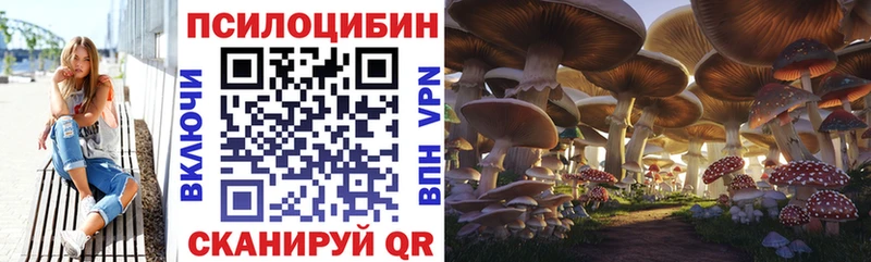 Псилоцибиновые грибы мухоморы сколько стоит Карпинск