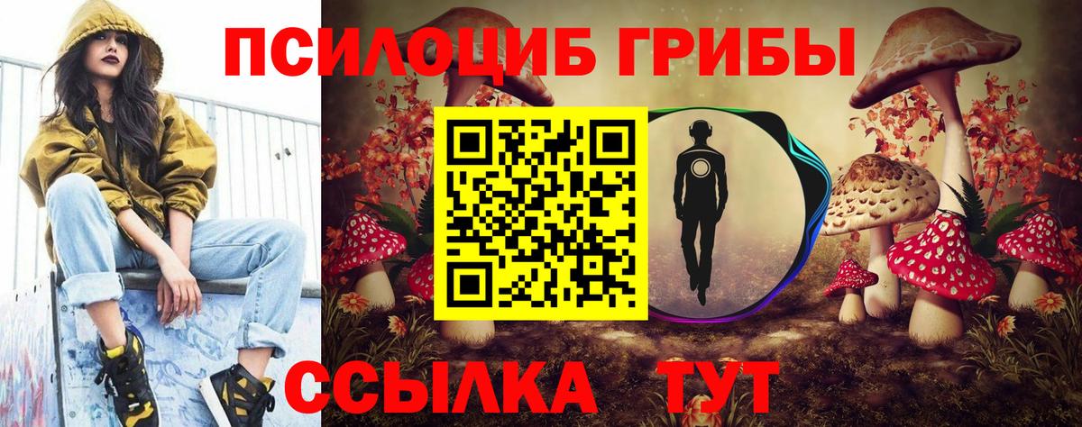 Галлюциногенные грибы мицелий Карпинск