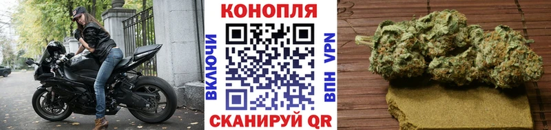 Бошки марихуана White Widow  как найти   Карпинск 